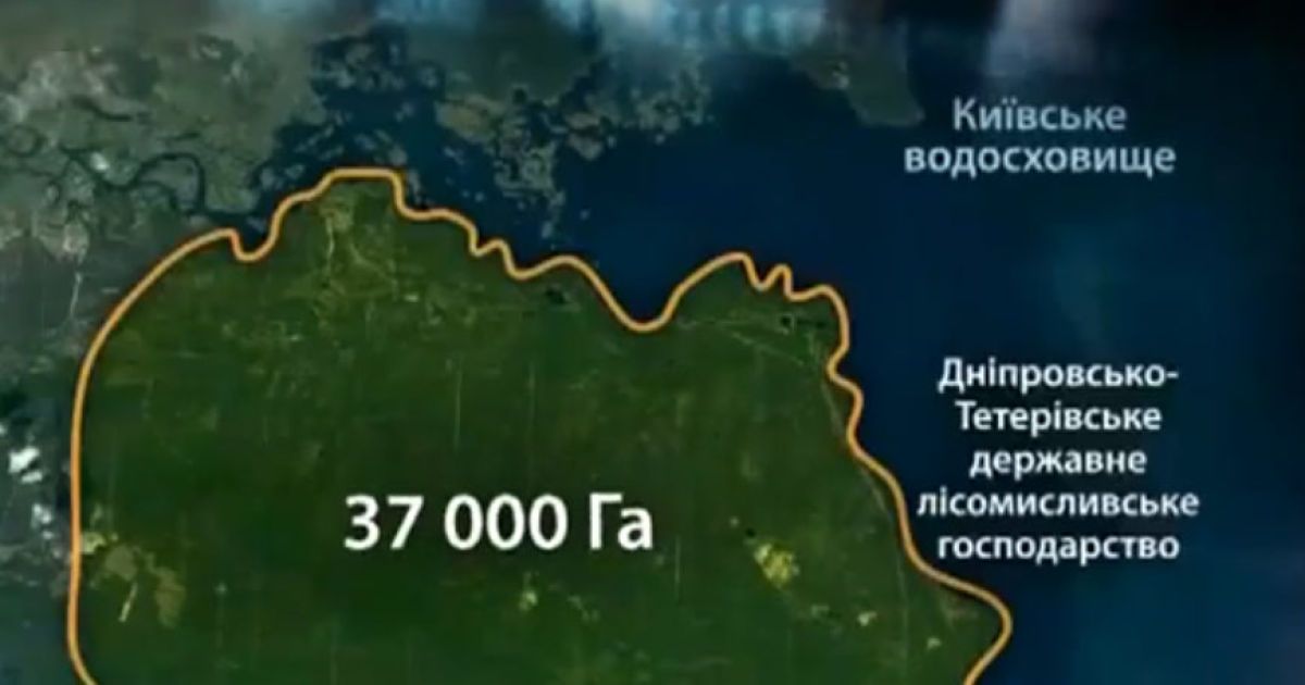 Купленную без тендера дорогу закатают в угодья Сухолучья