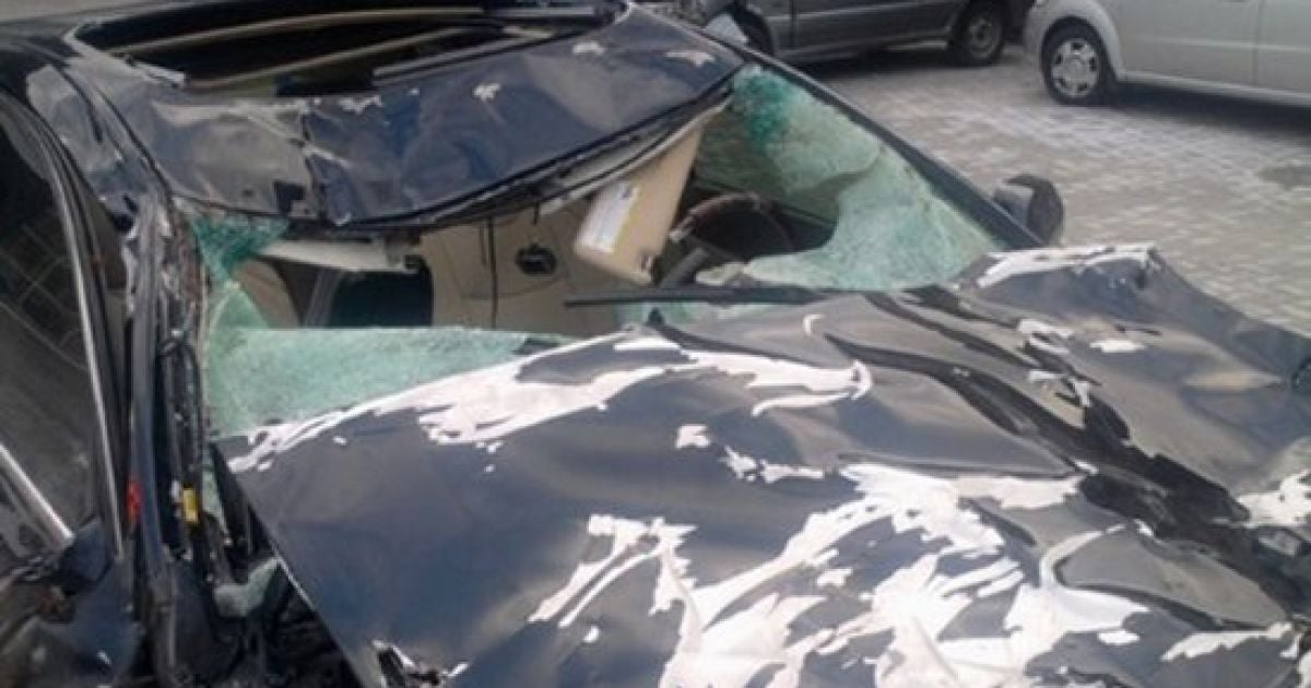 В Крыму коровы "забодали" Lexus