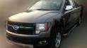 Китайцы выпустят бюджетный Ford F-150
