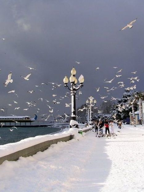 Карта сайта и перевод на английский язык