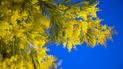 Getty Images/Fotobank