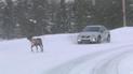 Электромобиль Volvo испытали на тридцатиградусном морозе