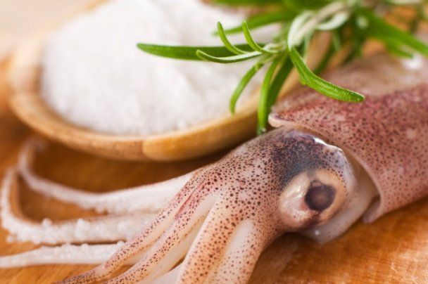 Рецепты блюд с кальмарами