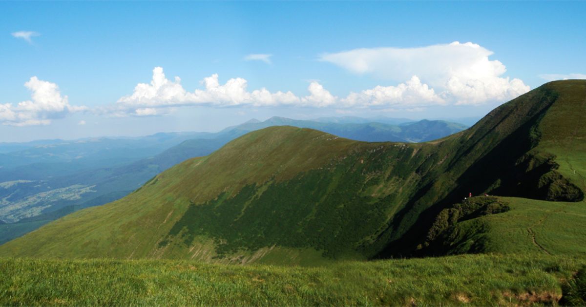Близниця Велика