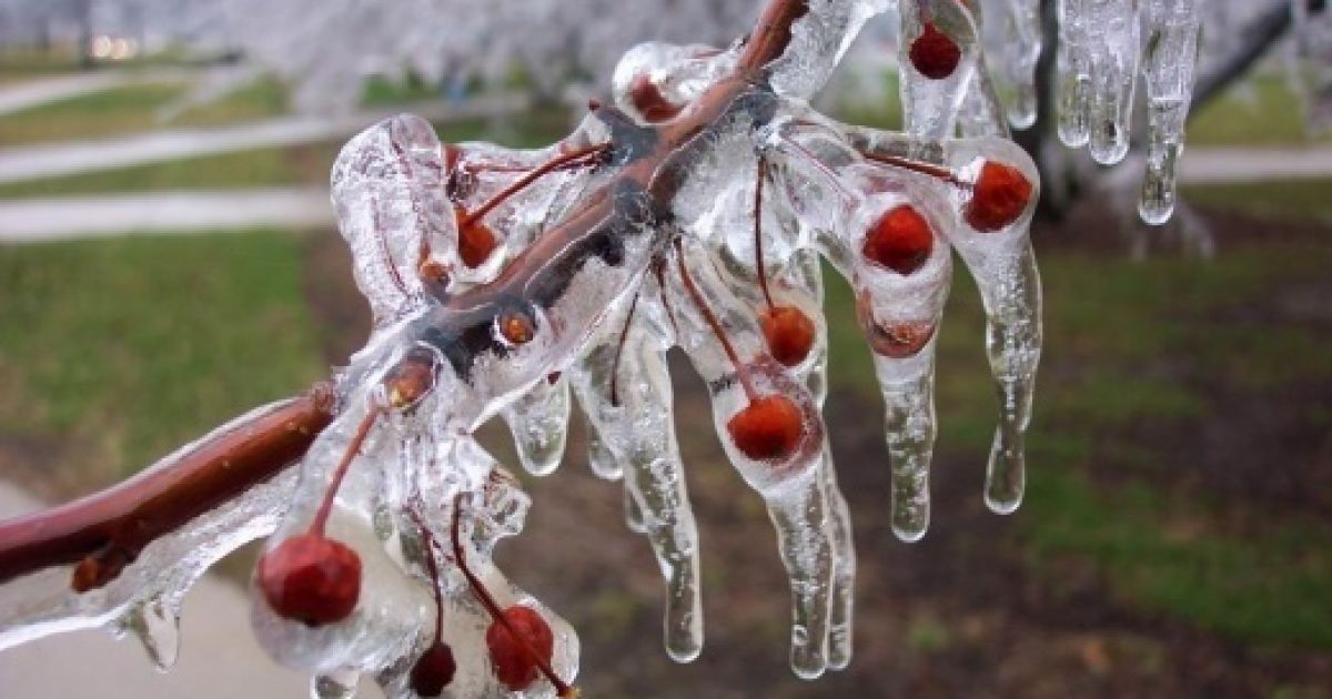 Мороз в Києві вбив трьох людей.