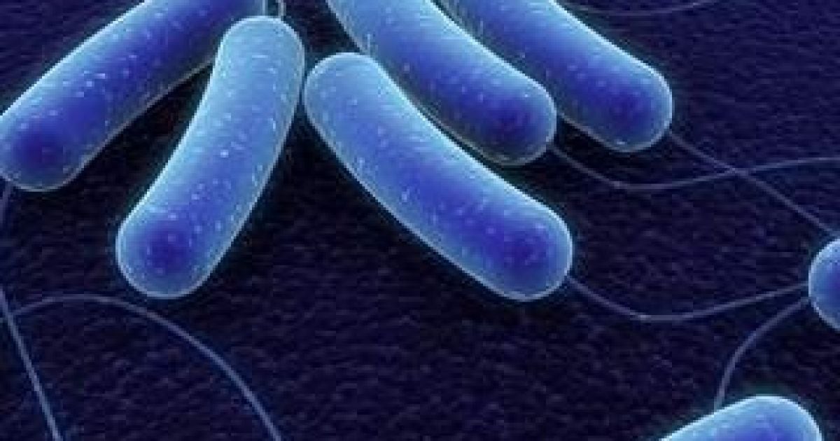 В российском супермаркете в колбасе нашли опасную инфекцию