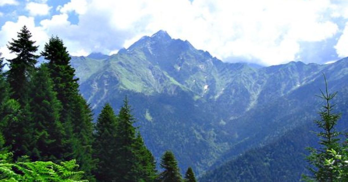 В Грузії є все, що треба для відпочинку: гори, море, багата історія та гарні люди. Фото countries.turistua.com