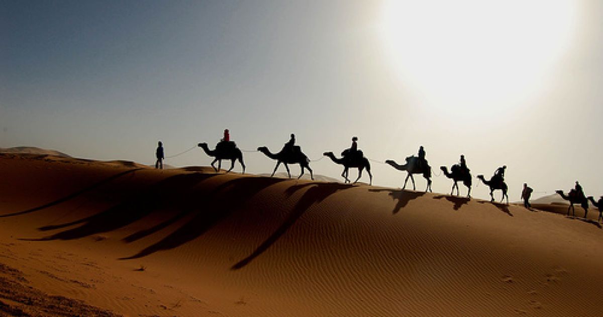 18 лютого 1979 року в Сахарі вперше за багато століть побачили сніг.