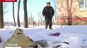 Операція Віник