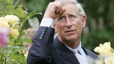 Стиль принца