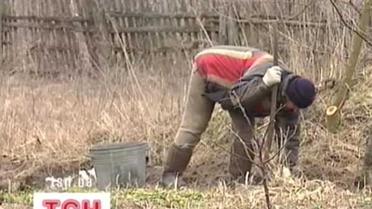 Як природа реабілітує наркоманів