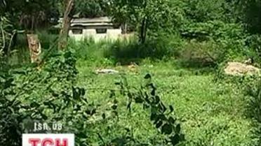 Земельні оборудки в Києві
