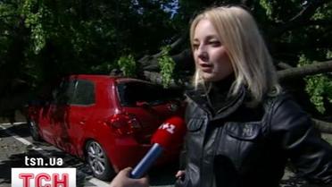 Дерево впало на машину Аріни Домскі