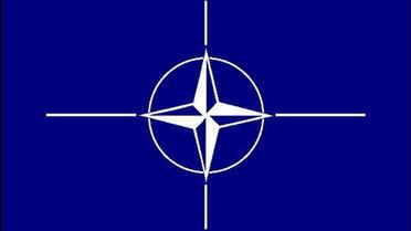 Річниця співпраці із НАТО