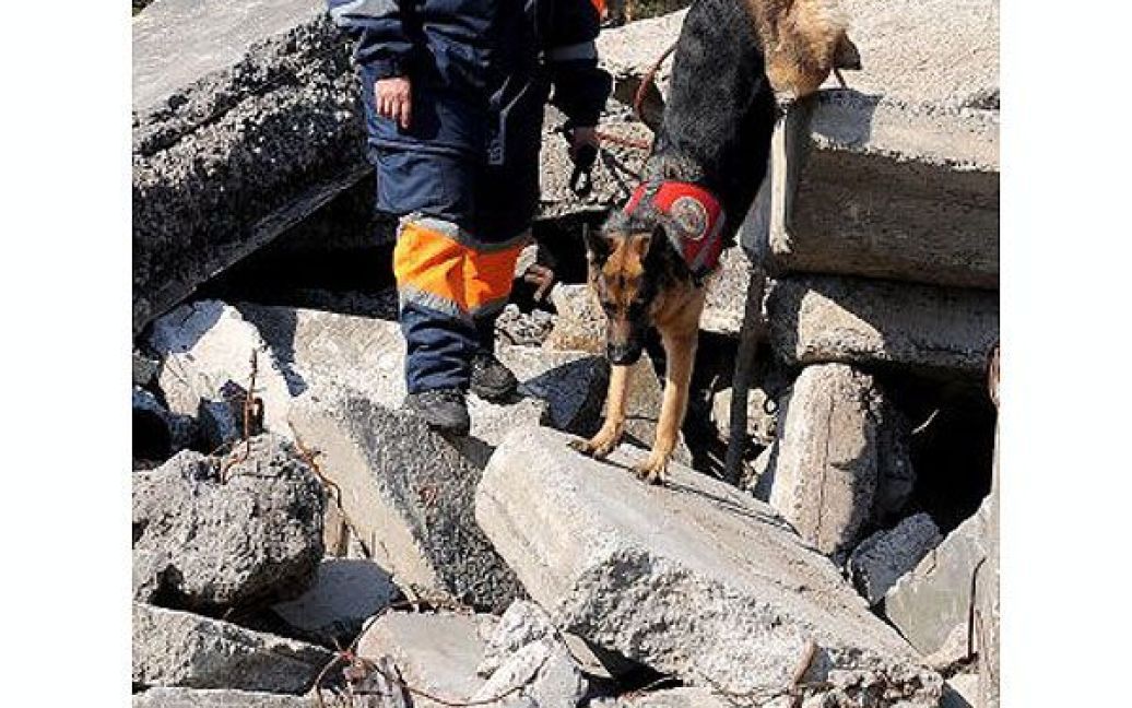 Як повідомили у прес-службі МНС, загалом це 45 осіб та собаки, навчені шукати людей під завалами. / © УНІАН
