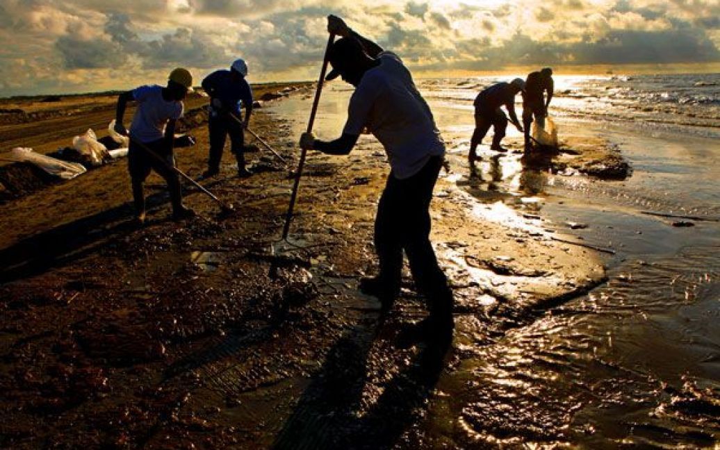 Робітники, найняті компанією BP, прибирають нафту з узбережжя у південній частині Луїзіани. (Carolyn Cole/Los Angeles Times) / © Los Angeles Times