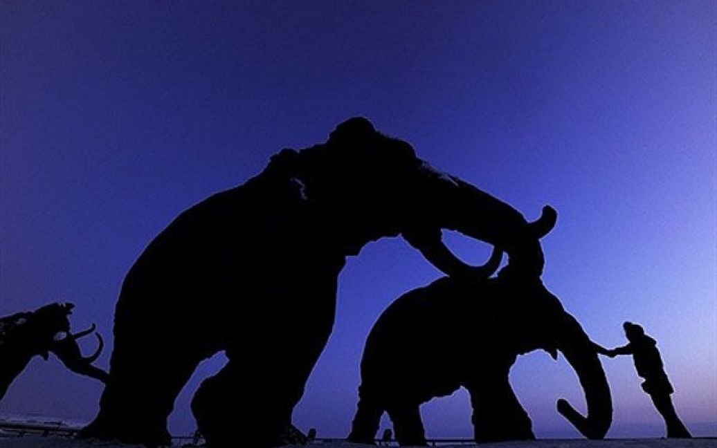 Росія, Ханти-Мансійськ. Чоловік роздивляється гігантські бронзові скульптури мамонтів, встановлені поблизу стадіону, під час Чемпіонату світу з біатлону в сибірському місті Ханти-Мансійськ. / © AFP