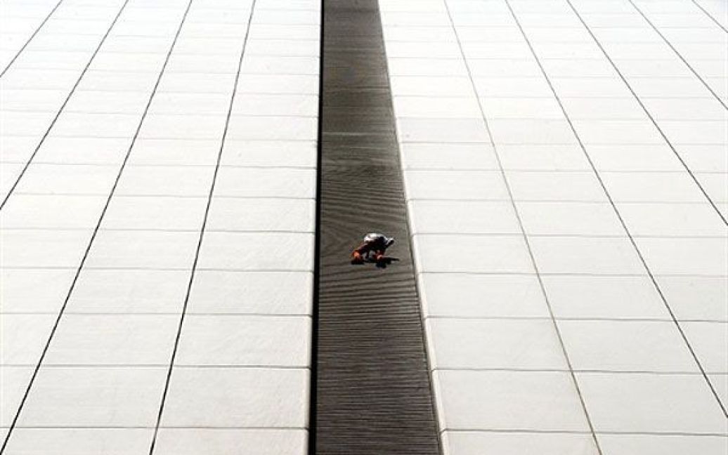 Китай, Гонконг. Французький альпініст Ален Робер, відомий у світі під прізвиськом "Людина-павук", підкорив чергову висоту у майже 150 метрів. Він забрався на дах 27-поверхової штаб-квартири Hang Seng Bank у Гонконгу. / © AFP