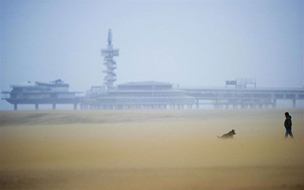Нідерланди, Схевенінген. Людина гуляє зі своїм собакою на пляжі у місті Схевенінген. / © AFP