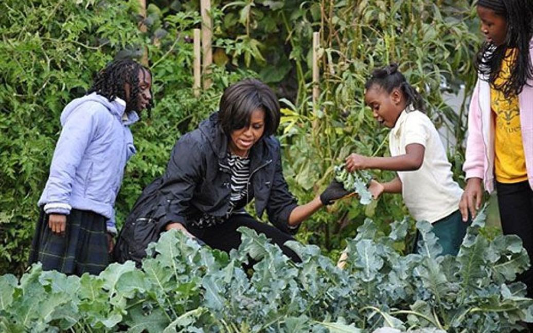 Цими овочами тепер годуватимуть постійних мешканців і гостей Білого дому, а також віддавати їх до публічних їдалень для бідних / © AFP