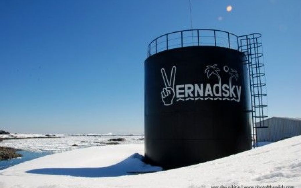 У розпал кризи багато українців рвалися до Антарктиди на заробітки. / © photofthawild.livejournal.com