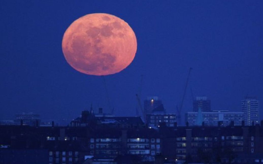 Вперше за останні 19 років Місяць наблизився до Землі на рекордно близьку відстань &mdash; 356 577 км. / © AFP