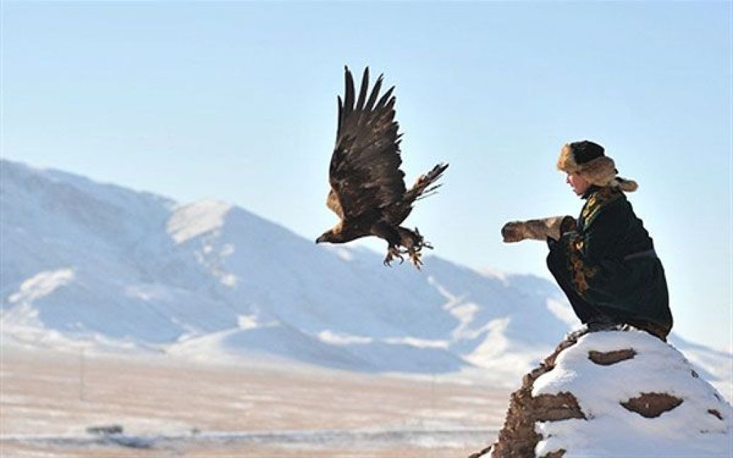 Казахстан, Нура. Казахський беркутчі (мисливець з орлом) запускає свого птаха під час традиційного свята полювання у місті Нура. / © AFP
