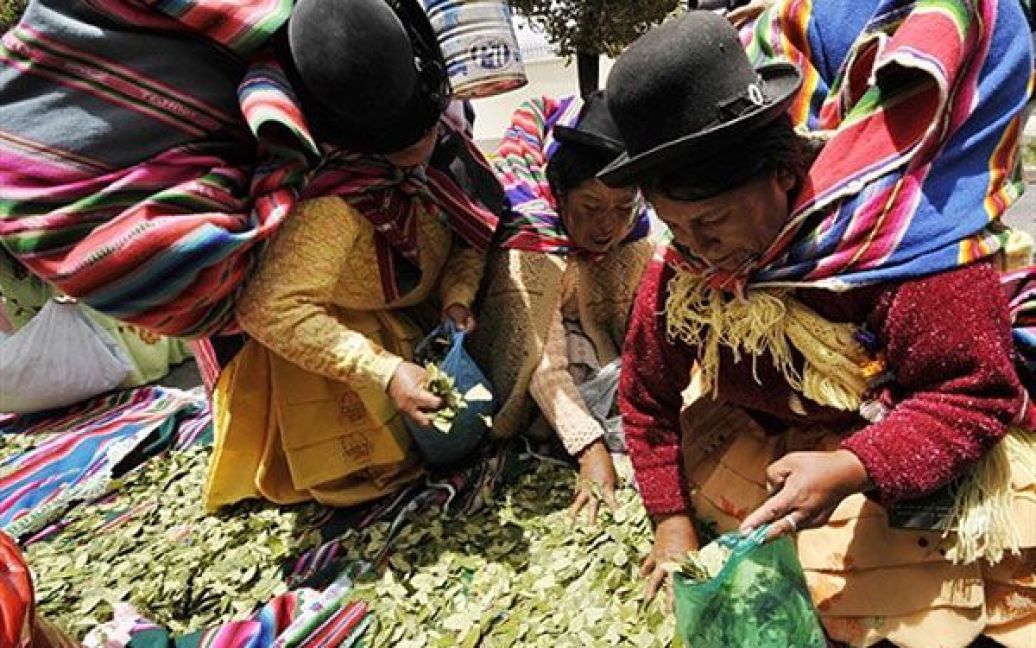 Болівія, Ла-Пас. Жінки з племені аймара жують листя коки перед посольством США у Болівії. В Болівії провели День жування коки на підтримку болівійського клопотання до Економічної і Соціальної Ради Об&#039;єднаних Націй щодо декриміналізації жування листя коки. / © AFP
