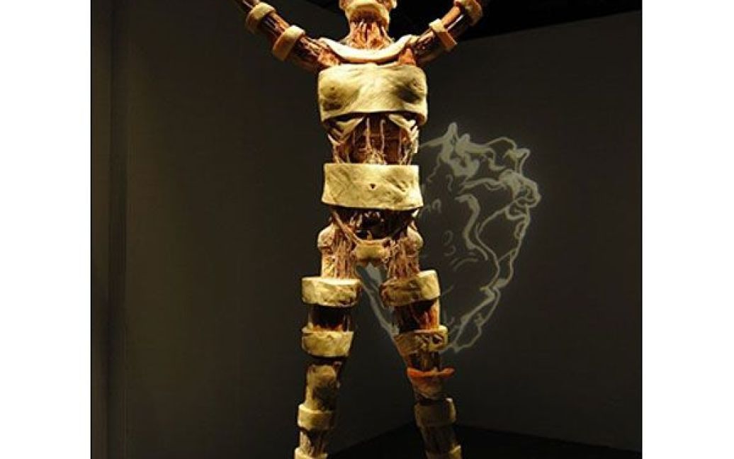 У Нью-Йорку (США) відбулось відкриття оновленої експозиції виставки "Тіла ... Виставка", на якій представлено 225 експонатів / © AFP