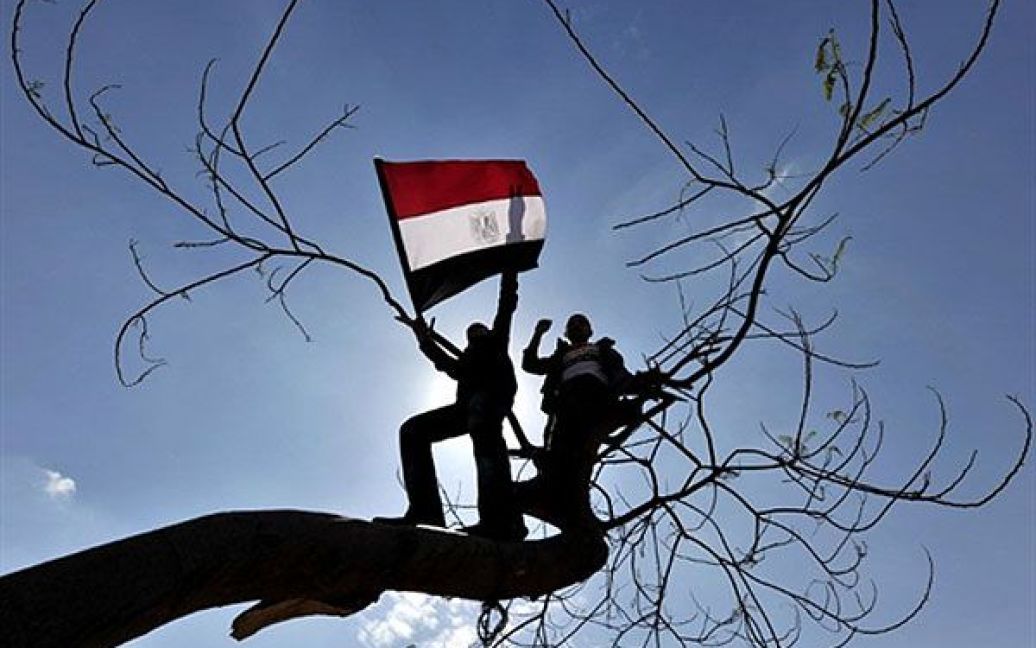 Єгипет, Каїр. Демонстранти стоять на дереві і розмахують єгипетським прапором під час акції протесту в центрі Каїра. Сотні єгиптян з хрестами і Коранами зібрались на площі Тахрір, щоб висловити протест проти міжрелігійних зіткнень у країні. / © AFP