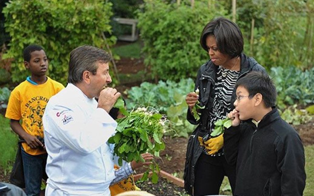 Врожай гарбузів на городі Мішель Обами зібрали до Дня всіх святих, який традиційно відзначається 31 жовтня. / © AFP