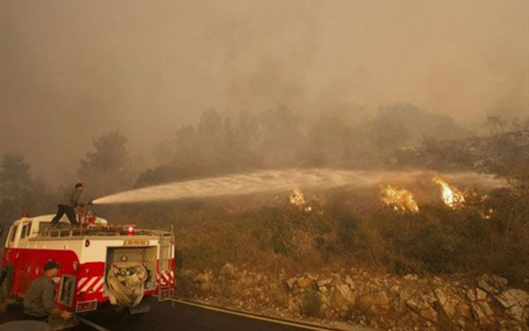 На півночі Ізраїлю сталась лісова пожежа, в якій загинули не менше 40 людей. / © AFP