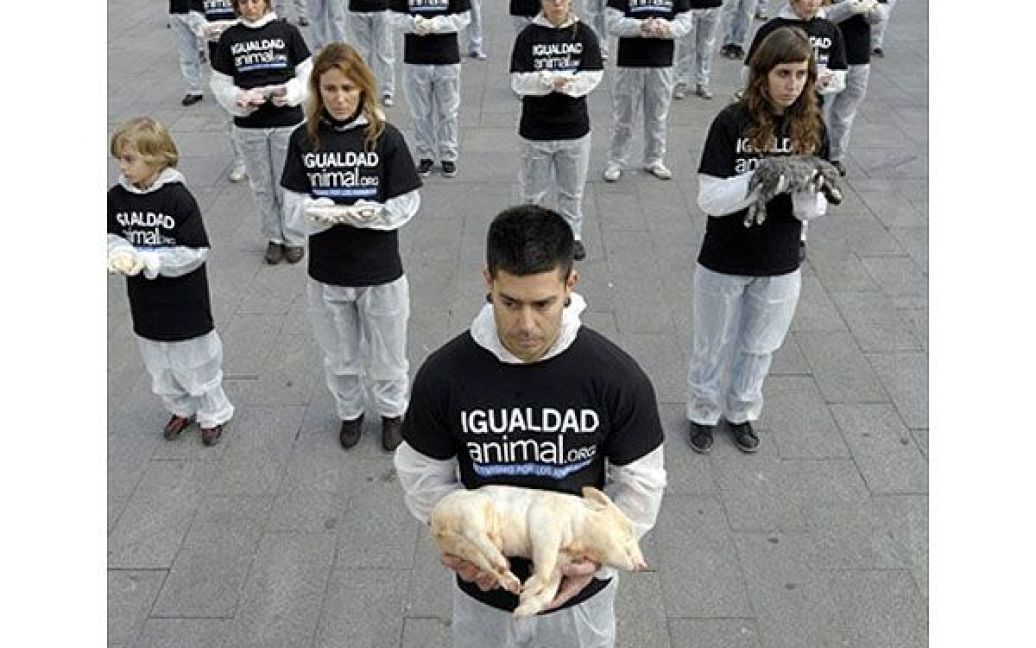 Іспанія, Мадрид. Активісти руху із захисту тварин провели акцію на площі Пуерта-дель-Соль, на яку вони принесли трупи тварин. Акцію присвятили Міжнародному дню прав тварин. / © AFP
