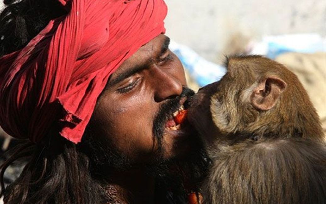 Непал, Катманду. Садху, індуїстський святий, годує мавпу полуницею у храмі Пашупатінатх під час святкування фестивалю "Маха Шиваратрі" в Катманду. / © AFP