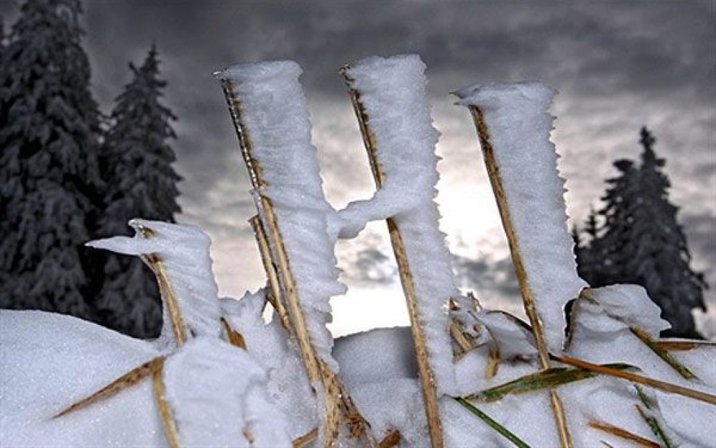 Німеччина. Сніг у південно-західній Німеччині. Метеорологи прогнозують зниження денних температур і початок снігопадів. / © AFP