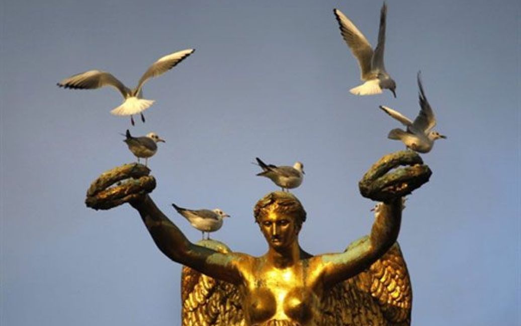Франція, Париж. Чайки сідають на фонтан Palmier у Парижі. / © AFP