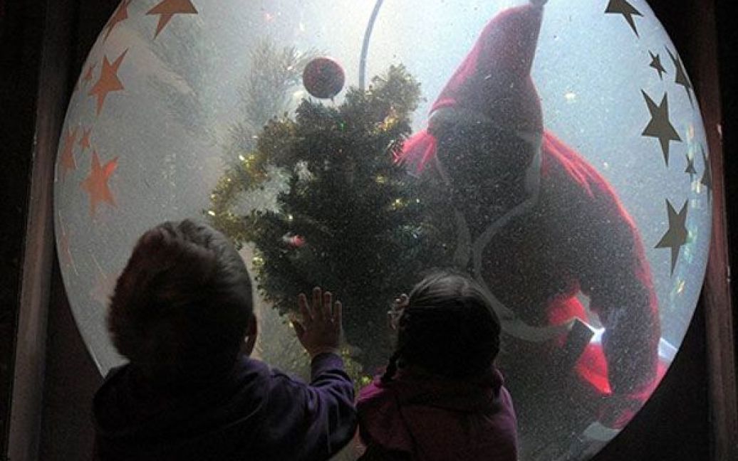 Німеччина, Шпайер. Діти дивляться на дайвера Ахіма Бенца, який у костюмі Санта Клауса прикрашає новорічну ялинку в акваріумі "Sea Life". / © AFP