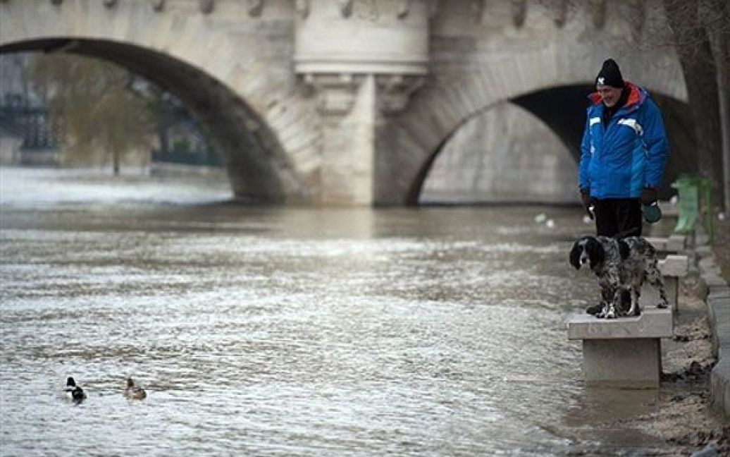 Франція, Париж. Чоловік і його собака дивляться на качок, які пливуть
Сеною, стоячи на затопленій лавці. Дороги вздовж берегів сени були
закриті для руху після того, як рівень води піднявся більше, ніж на
три метри. / © AFP
