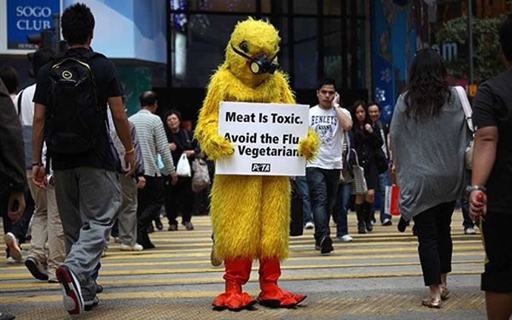 Китай. Активіст організації за етичне поводження з тваринами (PETA), одягнений у костюм курки, тримає банер із написом: "М&rsquo;ясо токсичне. Попередь грип, ставай вегетаріанцем" у жвавому торговому районі у Гонконзі. Метою демонстрації є привернути увагу до поширення хвороби на грип за допомогою зараженого м&#039;яса. / © AFP