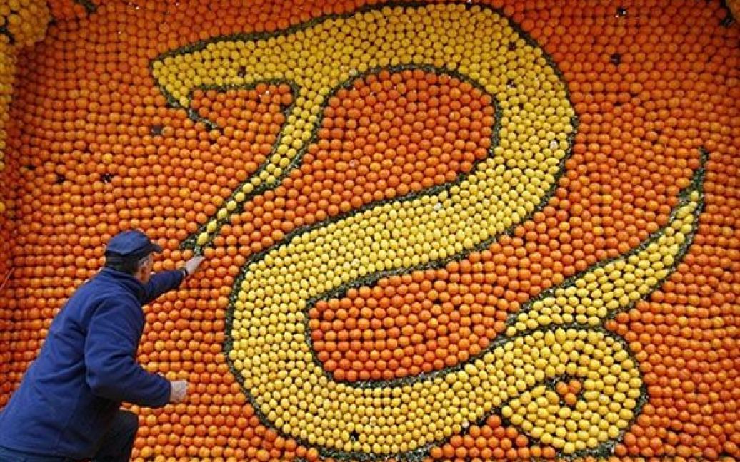 Франція, Ментон. Чоловік завершує роботу над скульптурою "Змія", яка виготовлена з помаранчів та лимонів. У місті Ментон на французькій Рив&#039;єрі починається щорічний "Карнавал лимонів". Темою цьогорічного 78-го карнавалу, який пройде з 18 лютого по 9 березня 2011 року, є "Головні цивілізації". / © AFP