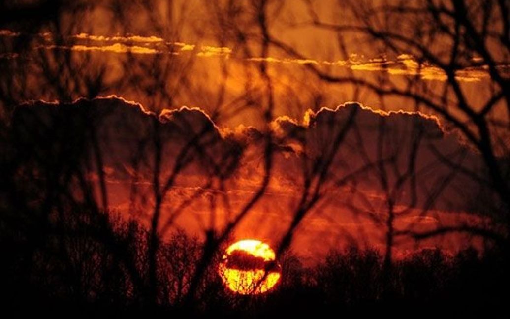США, Сілвер-Спрінг. Сонце сідає у місті Сілвер-Спрінг, штат Меріленд. / © AFP