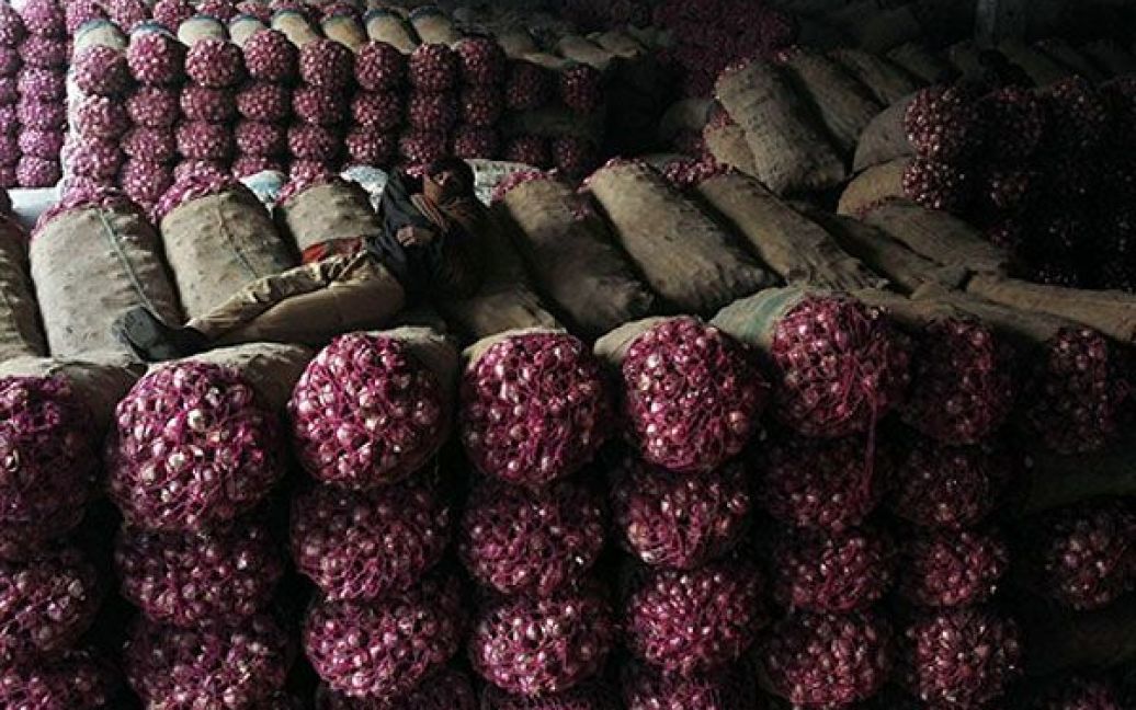 Пакистан, Лахор. Пакистанський продавець лежить на мішках з цибулею на ринку овочів у Лахорі. У Пакистані цього тижня заборонили експорт цибулі до сусідньої Індії у спробі контролювати зростання цін на продукти харчування. / © AFP