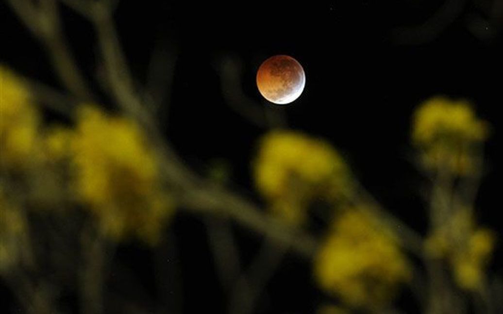 Останнє у 2010 році місячне затемнення співпало із найкоротшим днем року. / © AFP