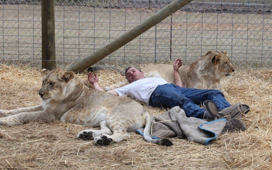 Джеймс Джаблон у клітці з левами / © Daily Mail