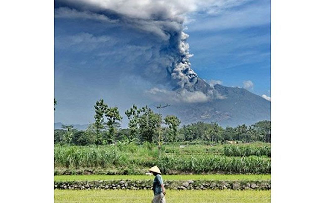 Індонезія, Слеман. Фермер йде через рисове поле на тлі хмар попелу, які викидає найактивніший вулкан Індонезії Мерапі. Мерапі почав вивергатися наприкінці жовтня. В результаті виверження, 194 особи загинули, понад 360 тисяч осіб були змушені переміститись до тимчасових таборів за межами небезпечної зони. / © AFP