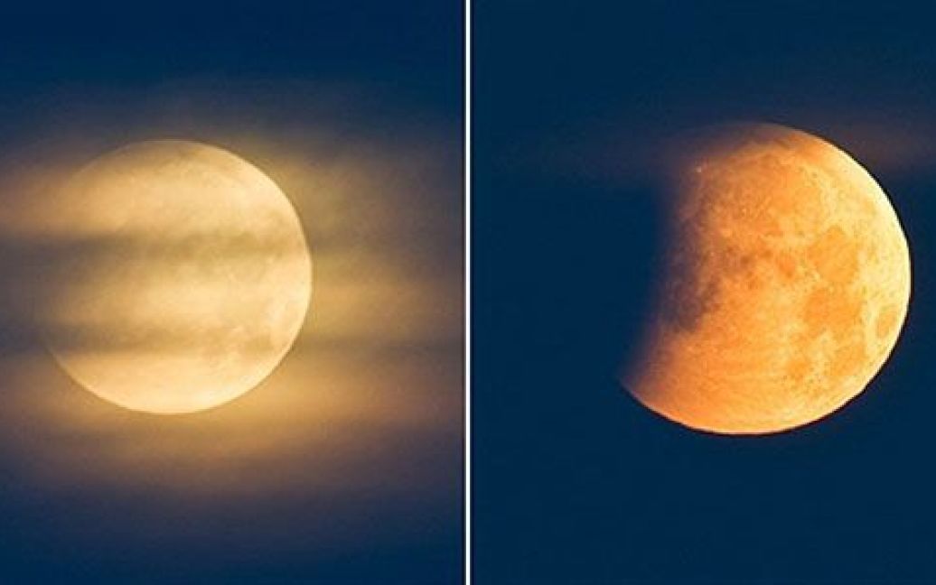 Наступного року буде два повних місячних затемнення - 15 червня та 10 грудня. / © AFP
