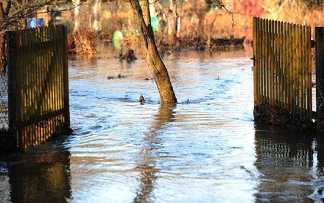 У Чехії, Німеччині, Бельгії різко підвищився рівень води у річках Ельбі, Лабі, Влтаві, вийшли з берегів Рейн і Мозель, і вода продовжує підніматися. / © AFP
