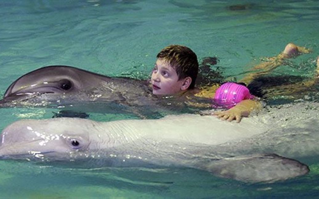 Росія, Сочі. Хлопчик плаває з дельфінами у дельфінарії "Морська зірка", де проводять медичне лікування за допомогою "дельфінотерапіії". Вчені стверджують, що домашні тварини можуть лікувати симптоми депресії. / © AFP