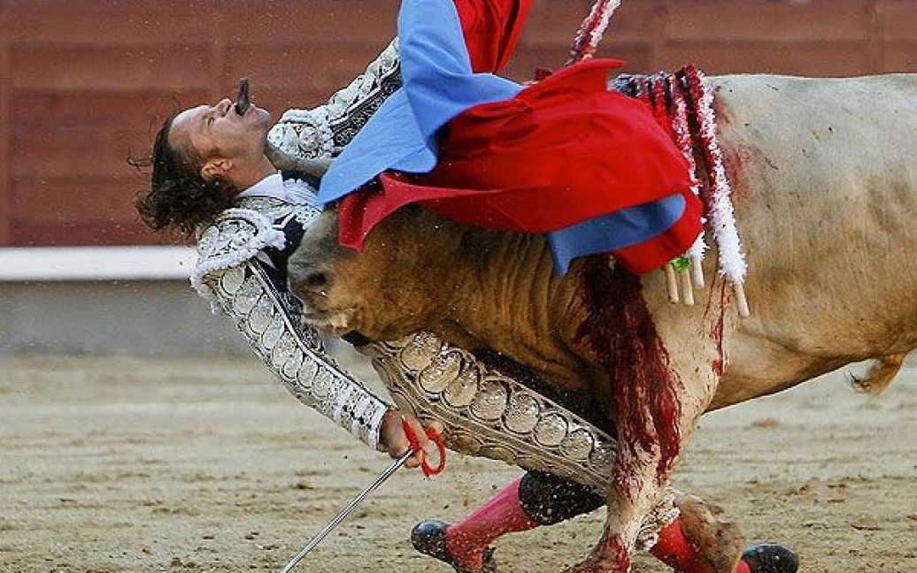Друге місце у номінації "Спорт". Іспанський матадор Хуліо Апарічіо, якого бик поранив у шию, і ріг пройшов через рот, корида на арені Лас Вентас, Мадрид, Іспанія. (Gustavo Cuevas / EFE) / © Worldpressphoto