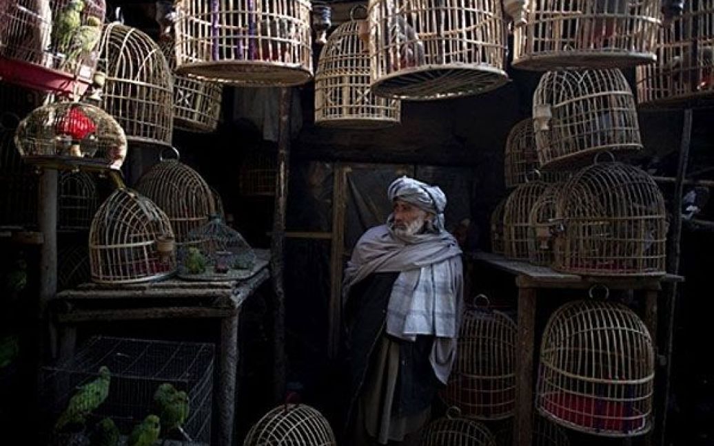 Афганістан, Кабул. Афганський продавець птахів стоїть серед кліток на ринку птахів у Кабулі. / © AFP